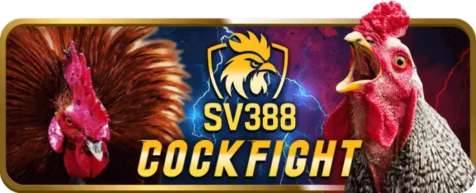 Giao dịch nhanh chóng 28bets casino
