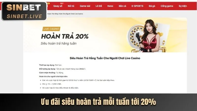 Chương trình VIP và khách hàng thân thiết của 28bets casino